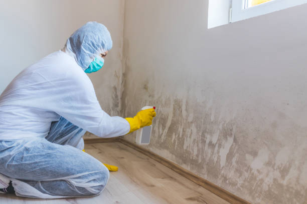 Licensed Crawl Space Mold Remediation service in New Providence, NJ - 24 Hour Mold Removal