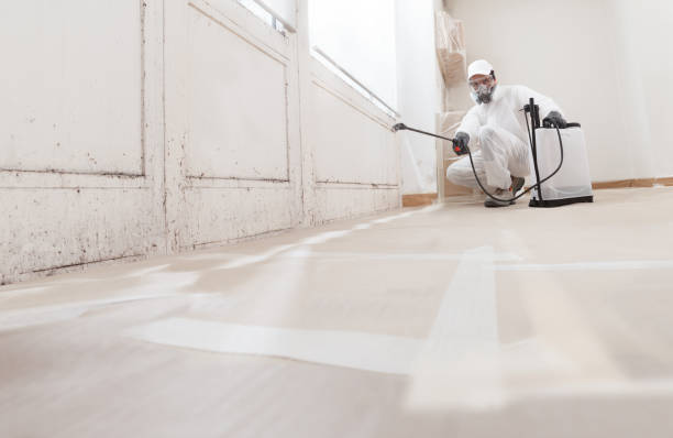 24/7 Emergency Crawl Space Mold Remediation experts in New Providence, NJ