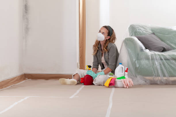 Reliable Crawl Space Mold Remediation contractor in New Providence, NJ by 24 Hour Mold Removal